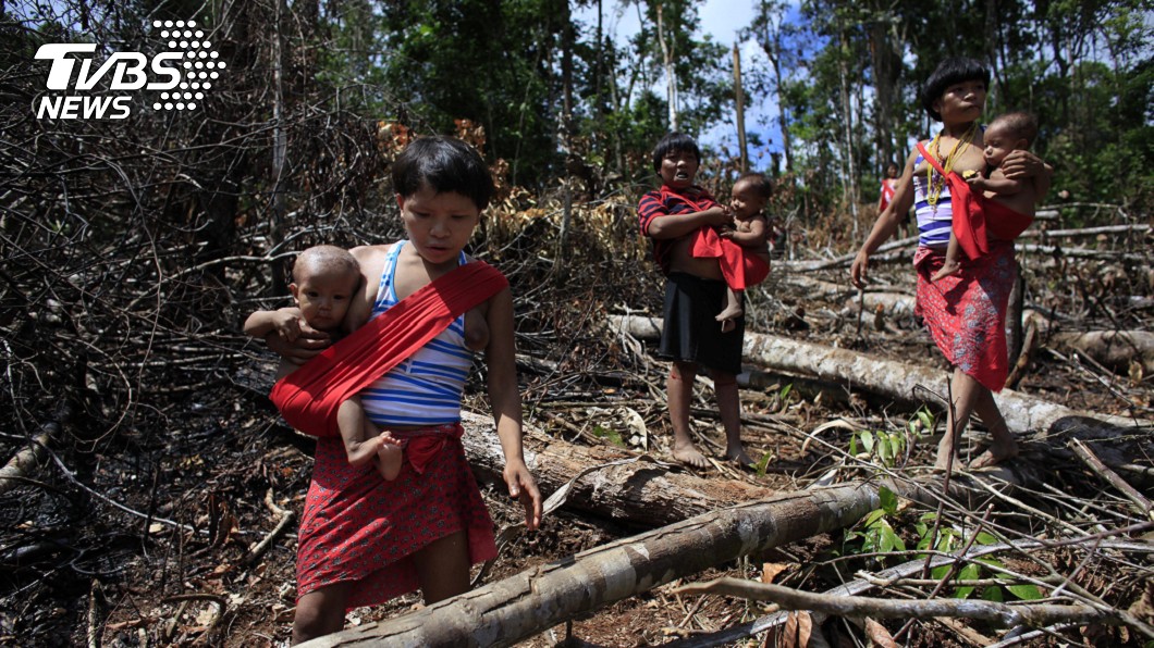 亞諾馬米（Yanomami）是巴西亞馬遜地區受武漢肺炎威脅最嚴重的原住民族群，如果不採取緊急措施，可能面臨種族滅絕風險。（圖／達志影像路透社）
