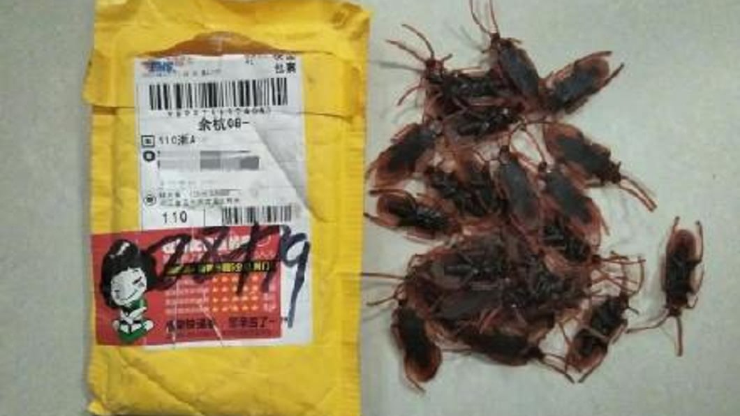 浙江1名男子日前收包裹時，驚見裡面裝有近百隻假蟑螂。（圖／翻攝自都市快報）