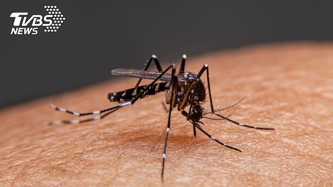 「坦布蘇病毒」與馬來西亞和泰國的蚊源高度同源。（示意圖／TVBS）