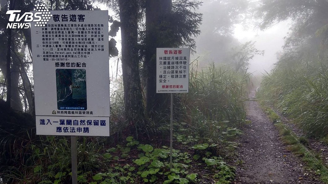 須經過事先申請才能進入的台灣一葉蘭自然保留區，常有遊客會誤闖，若勸導不聽逕行進入，嘉義林管處將開罰。。（圖／嘉義林管處提供）