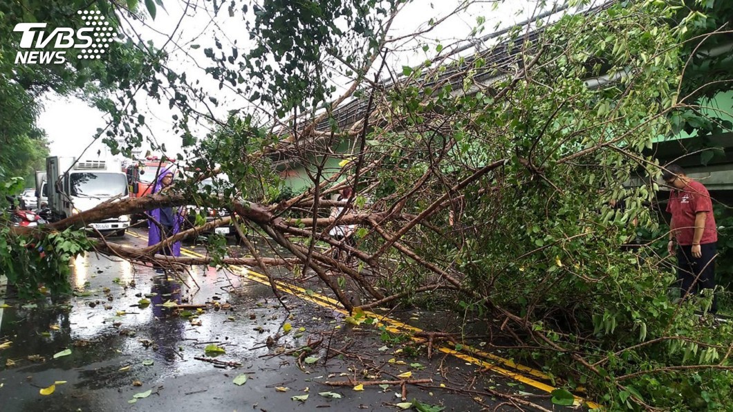 1名女子騎機車行經南屯區筏子東街，疑遭倒下的路樹壓傷。（圖／台中市消防局提供）