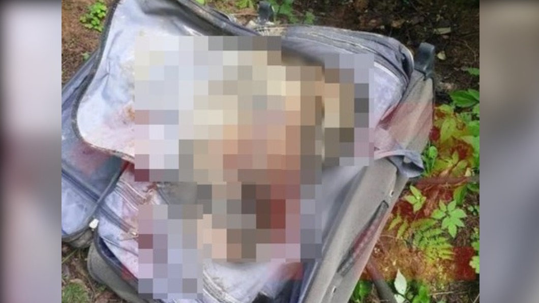 俄羅斯農人發現一只行李箱，打開驚見屍體。（圖／翻攝自Ласточка）