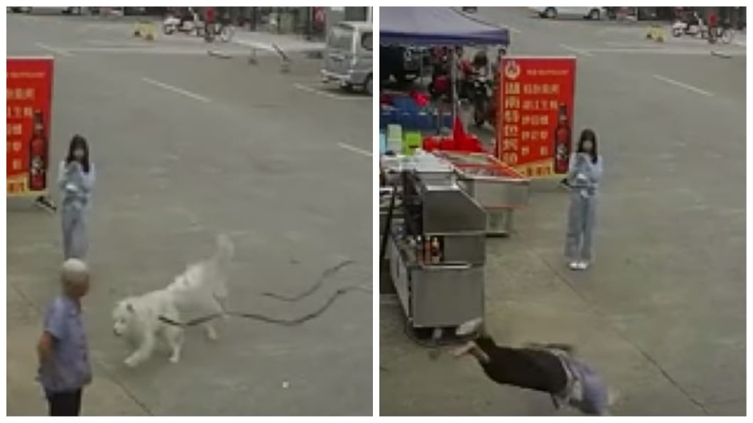 廣東日前發生一起老婦人站在路邊，卻被狂奔狗狗頸上繩索絆倒摔死的事件。（圖／翻攝自YouTube）