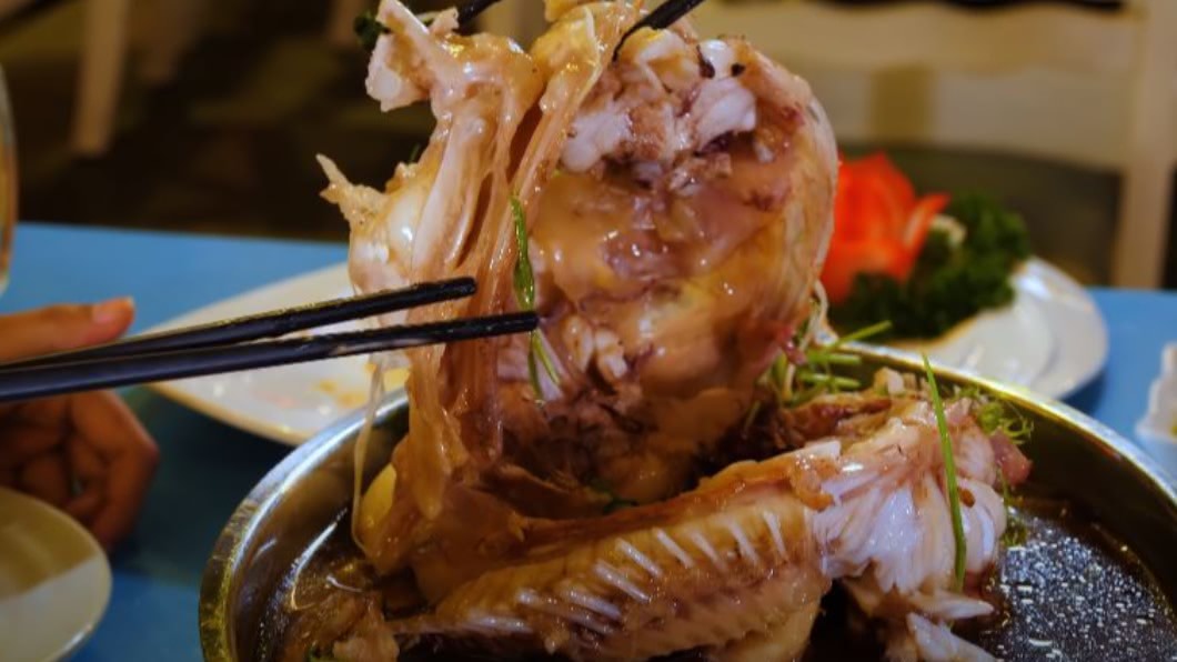 圖／翻攝自Best Ever Food Review Show YouTube 探索越南街頭小吃　百種海鮮怪奇料理超美味