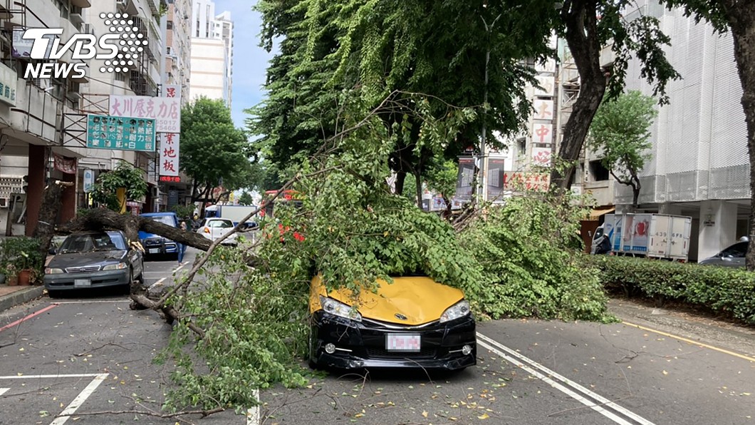 台中路樹倒下壓到車輛。（圖／中央社）