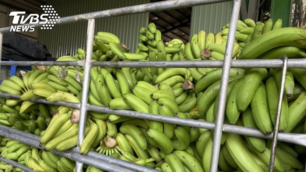 香蕉生產過剩價格崩，藍黨團轟陳吉仲不配當主委。（圖／中央社） 香蕉生產過剩價格下跌　國民黨團要求陳吉仲下台