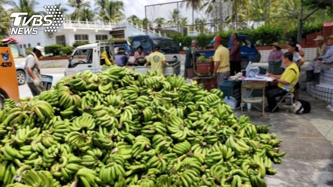 香蕉9月產量增加，農委會表示外銷創5年新高價格不會崩盤。（圖／中央社資料照）