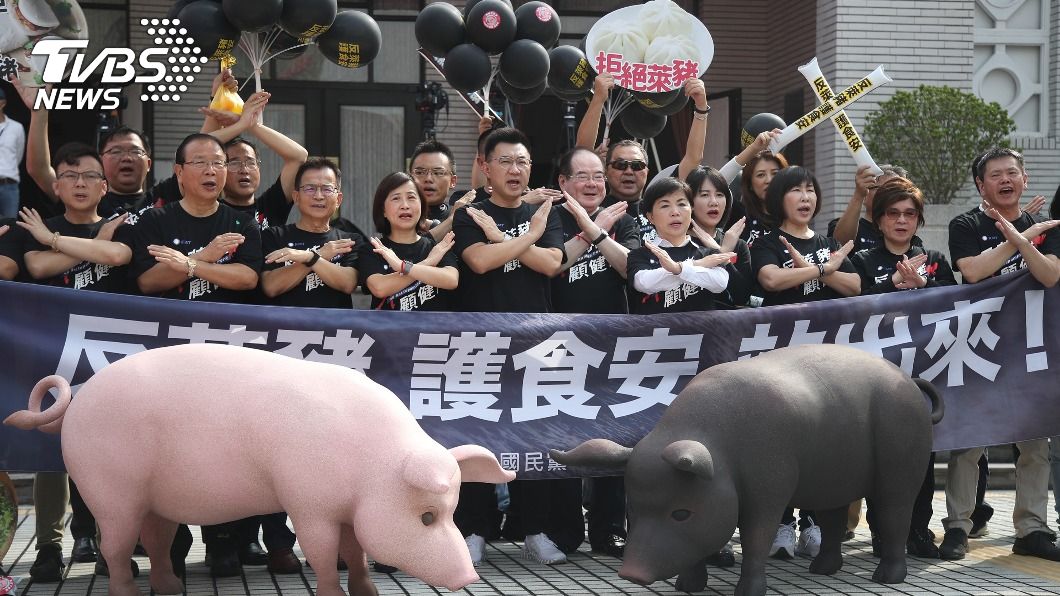 國民黨號召民眾上街抗議反萊豬。（圖／中央社）