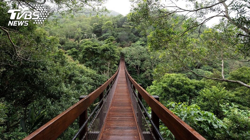 雙流國家森林遊樂區沿山吊橋，歷經半年整修，即日起重新開放。（圖／中央社）