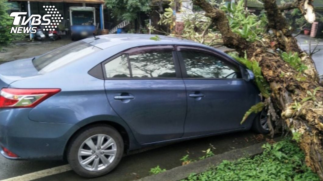 宜蘭路樹倒塌壓毀轎車車頭。（圖／中央社）
