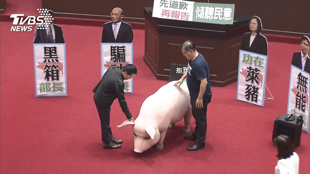國民黨日前在立院反萊豬進口。（圖／TVBS資料畫面）