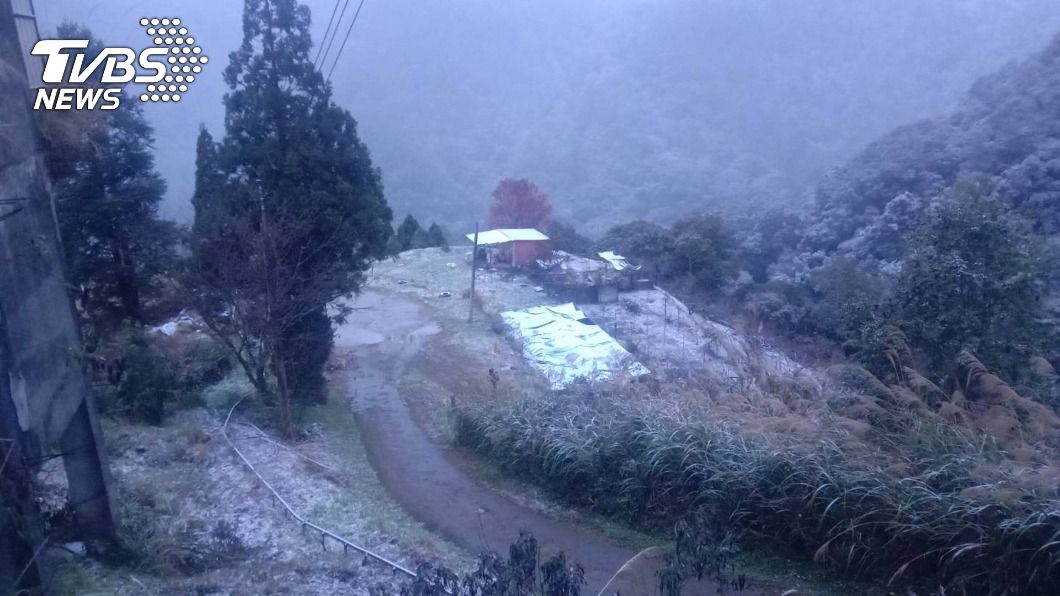 拉拉山今凌晨下雪。（圖／中央社）
