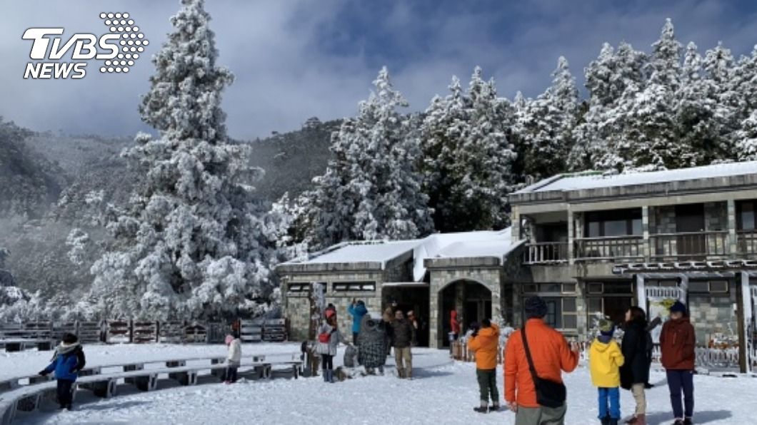 太平山浪漫雪景吸引許多賞雪客入園。（圖／中央社）