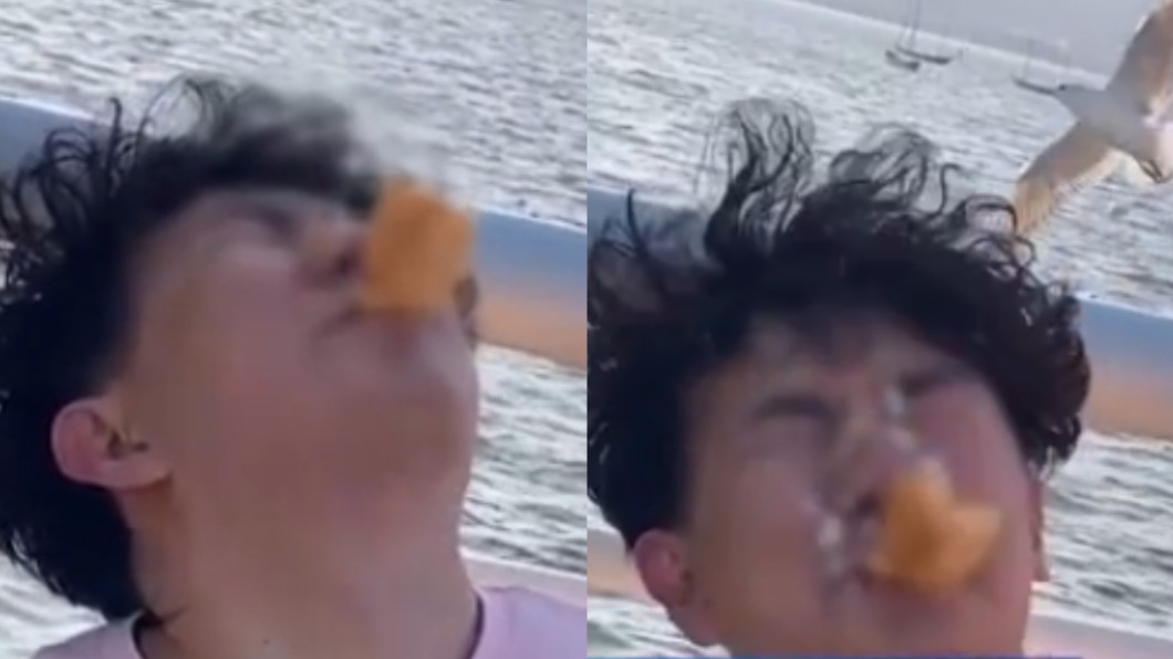 一名男子餵食海鷗卻遭「白色液體」洗臉。（合成圖／翻攝自澎湃新聞）