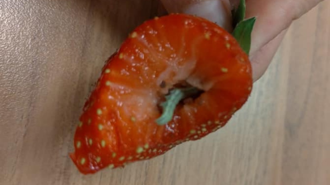 女子吃草莓時，發現裡面有蟲。（圖／翻攝自「Costco好市多 商品經驗老實說」臉書）