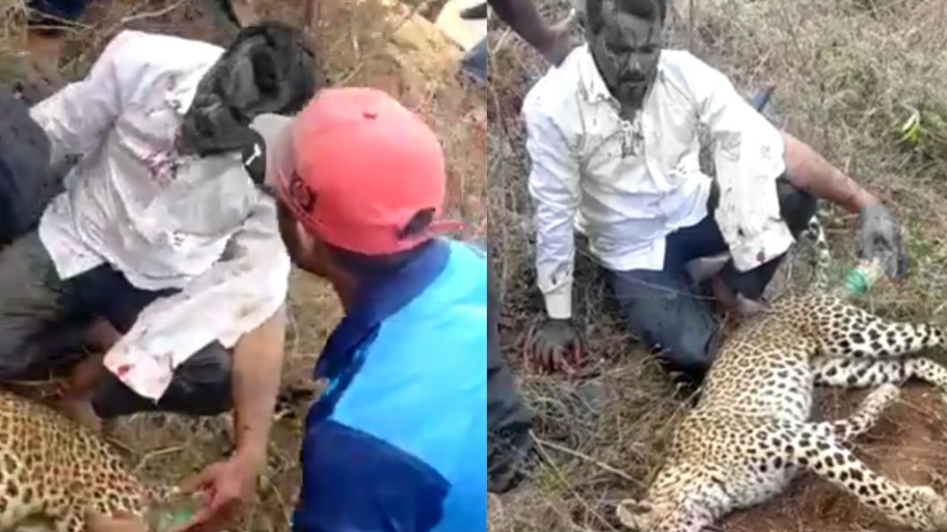 印度一名人夫徒手將花豹斬殺。（圖／翻攝自revathitweets推特）