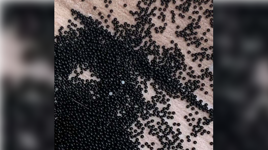 澳洲媽媽發現房間出現大量「黑珍珠」。（圖／翻攝自臉書社團「Amateur Entomology Australia」）