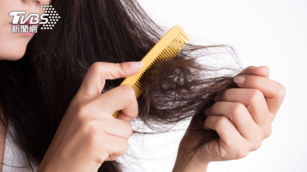 不少女性頭髮容易毛燥打結。（示意圖／shutterstock達志影像） 「梳頭」等於按摩全身！每日3分鐘穩固髮根、活化毛囊