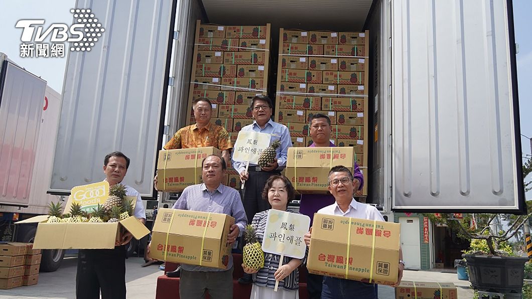 屏東首度出口銷往韓國的鳳梨，是近幾年來首度滿櫃外銷。（圖／中央社）