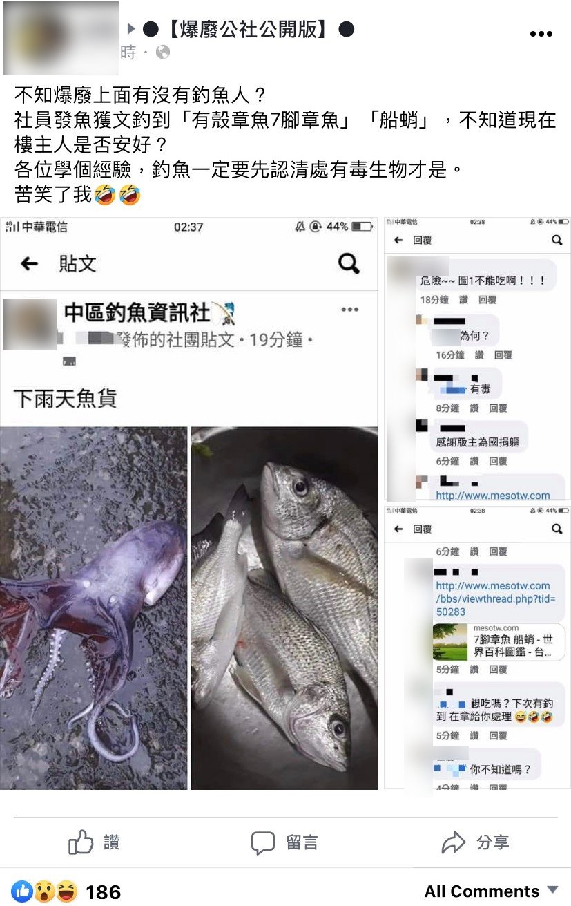 喜獲 7腳章魚 準備料理資深釣客驚 有毒別吃 釣魚 船蛸 水孔蛸 Tvbs新聞網