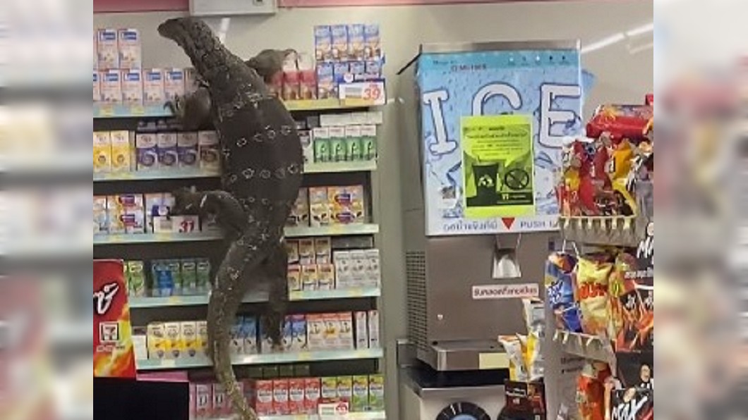 泰國一隻巨型蜥蜴闖入超商。（圖／翻攝自Jejene Narumpa臉書）