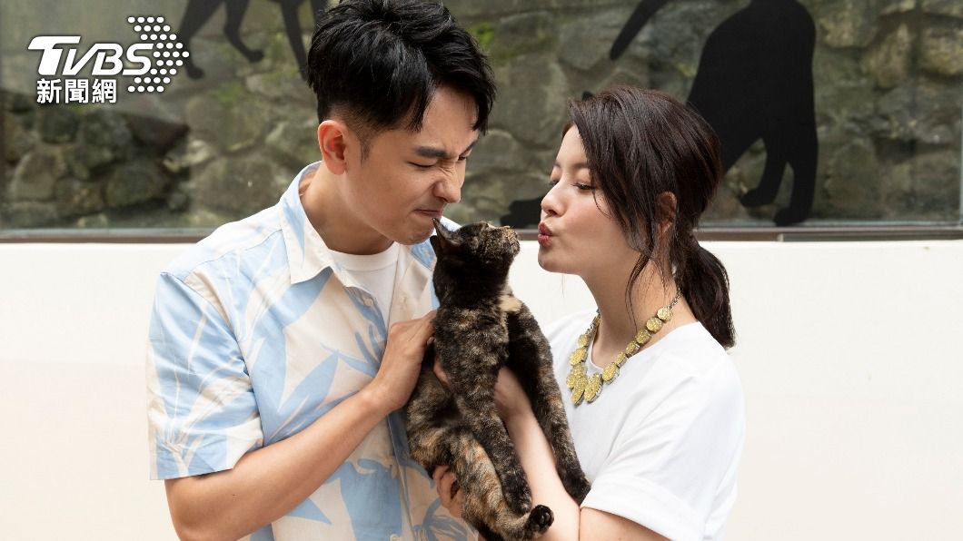 王樂妍與陳謙文都是愛貓人士。（圖／TVBS）