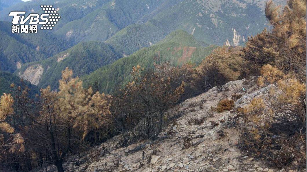 圖為玉山八通關林地大火災後現場照片。（圖／中央社）