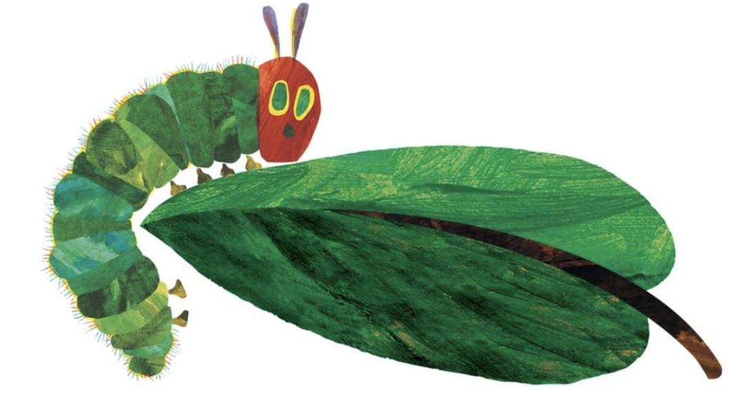 《好餓的毛毛蟲》描述小毛毛蟲歷經困難終變成美麗蝴蝶的故事。（圖／翻攝自IG officialericcarle）