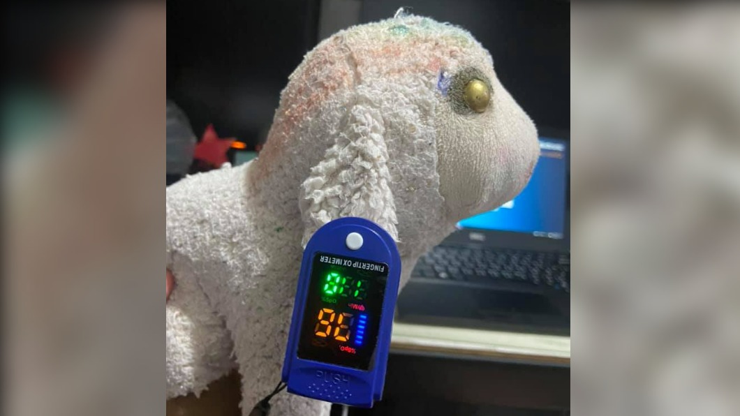 網友分享女兒拿網路買的血氧機去量小綿羊，沒想到竟測出數值。（圖／翻攝自詹姓網友臉書）