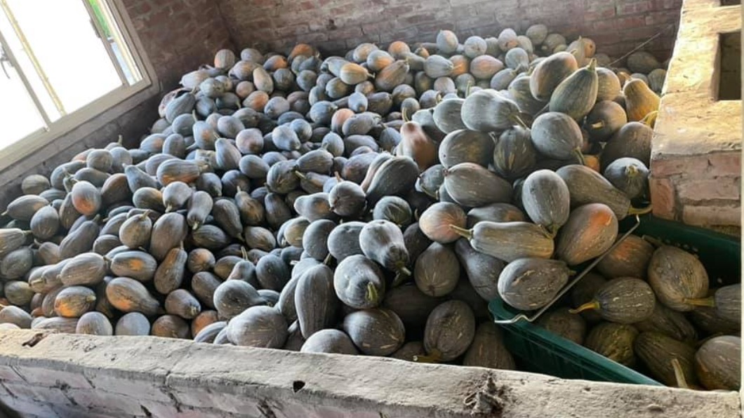 雲林縣有機農民李華藝在臉書上貼文，預計要將20多公噸的冬瓜和南瓜分送給弱勢團體。（圖／翻攝自李華藝臉書）