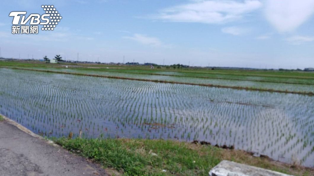 農委會宣布二期稻作恢復供灌。（圖／中央社）