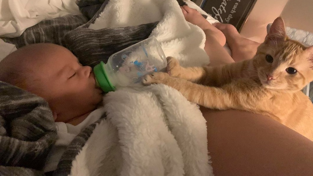 美國一名新手媽餵奶太累到睡著，沒想到醒來後發現愛貓竟貼心地幫忙餵奶。（圖／翻攝自Arlene Marquez臉書）