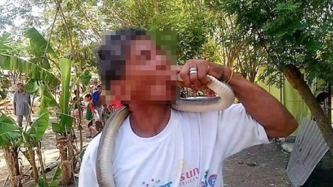 菲律賓一名男子和眼鏡蛇玩親親。（圖／翻攝自推特@KtoUmarl）