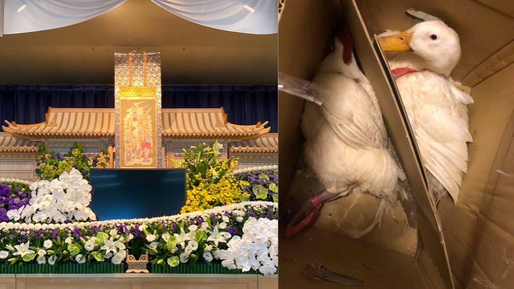 殯葬儀式結束後，雞鴨遭到胡亂棄置還封箱。（合成圖／shutterstock達志影像、翻攝自「​爆廢公社」）