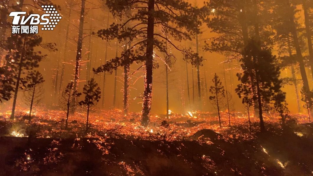加州乾旱季提前來臨，預警今年「特大野火」災情。 （圖／達志影像路透社）