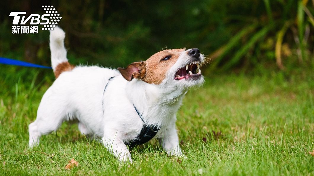 （示意圖／shutterstock 達志影像）