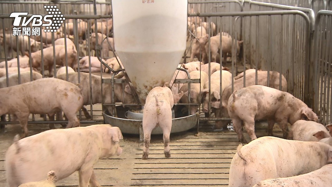 國內破獲首宗非洲豬瘟肉製品走私案且已流入市場。（示意圖／TVBS）