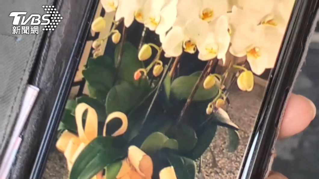 網友控訴花店回收喪家蘭花。（圖／TVBS）
