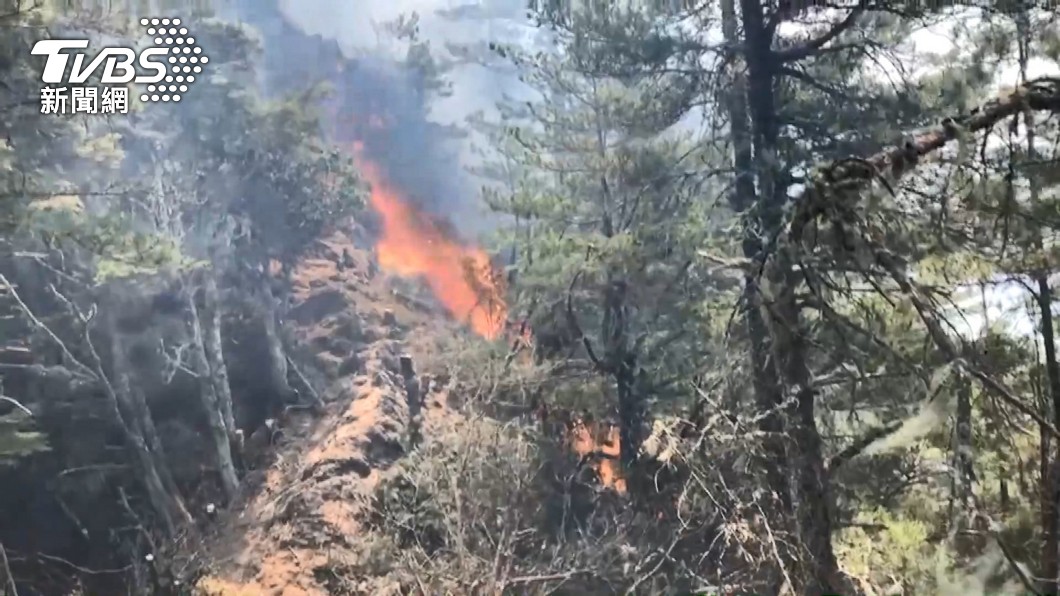 NCC前專委喬建中等人在玉山國家公園砍柴生火，引發森林火災。（圖／TVBS資料畫面）