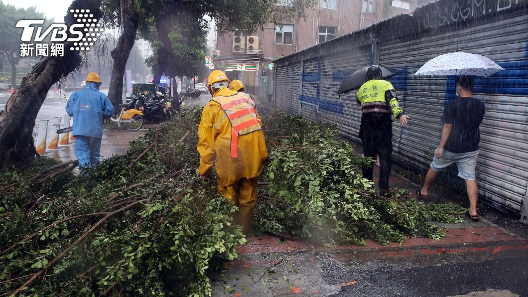 颱風璨樹來襲，北市路樹倒塌。（圖／中央社）