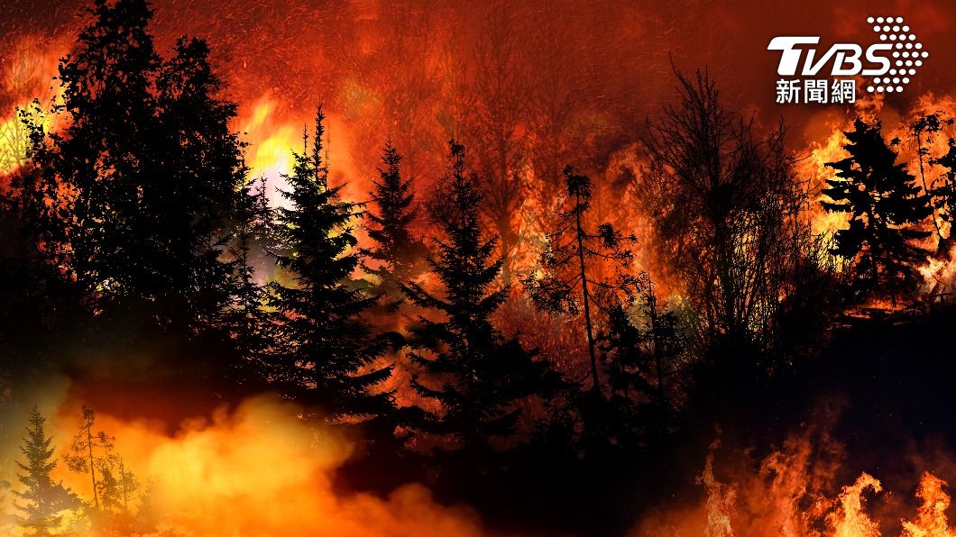 美國加州野火近日已蔓延到了內華達山脈。（示意圖／shutterstock達志影像）