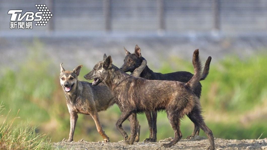 （示意圖／shutterstock 達志影像）