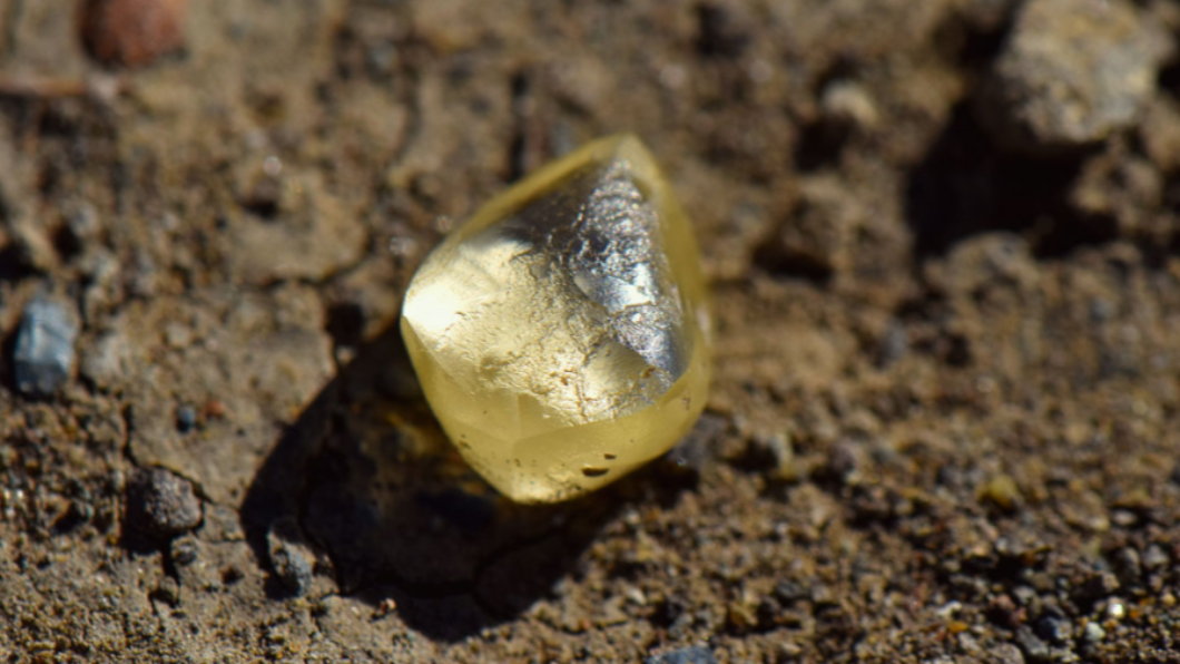 夫妻逛公園撿石頭，竟是4.38克拉鑽石。（圖／翻攝Arkansas State Parks推特）