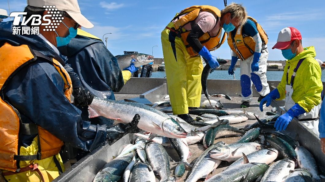 北海道面臨赤潮危機，漁獲大量死亡。（示意圖／達志影像美聯社）