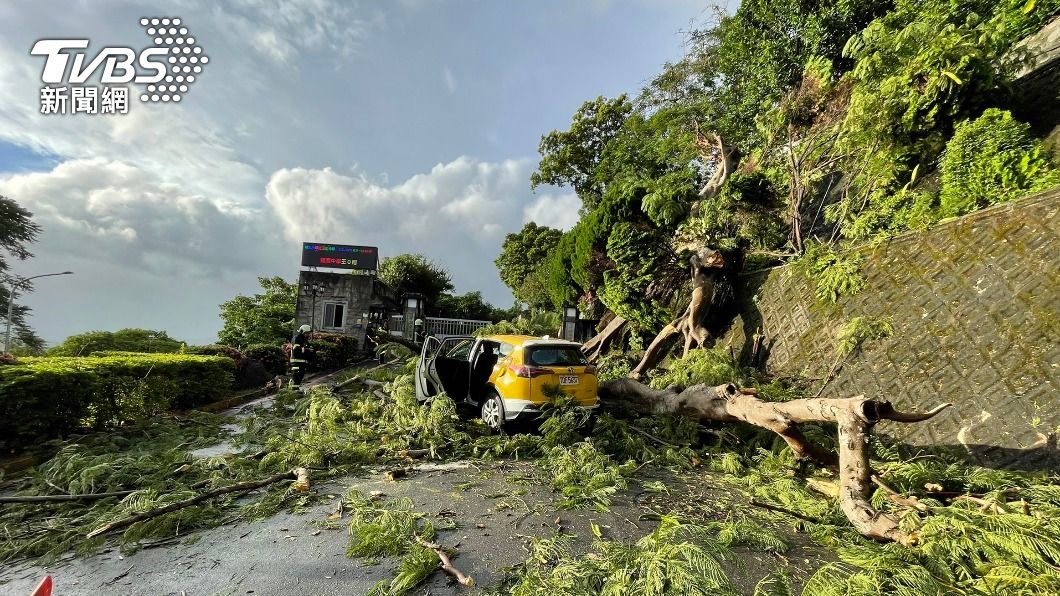 路樹倒塌壓毀計程車。（圖／TVBS）