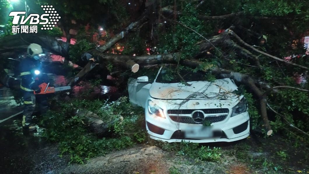 車輛被樹幹砸毀得相當嚴重。（圖／TVBS）