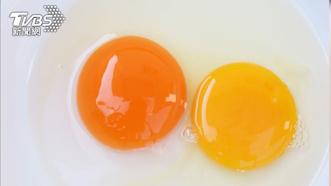 蛋黃、蛋殼顏色各不同，取決於母雞吃什麼（示意圖／Shutterstock達志影像）