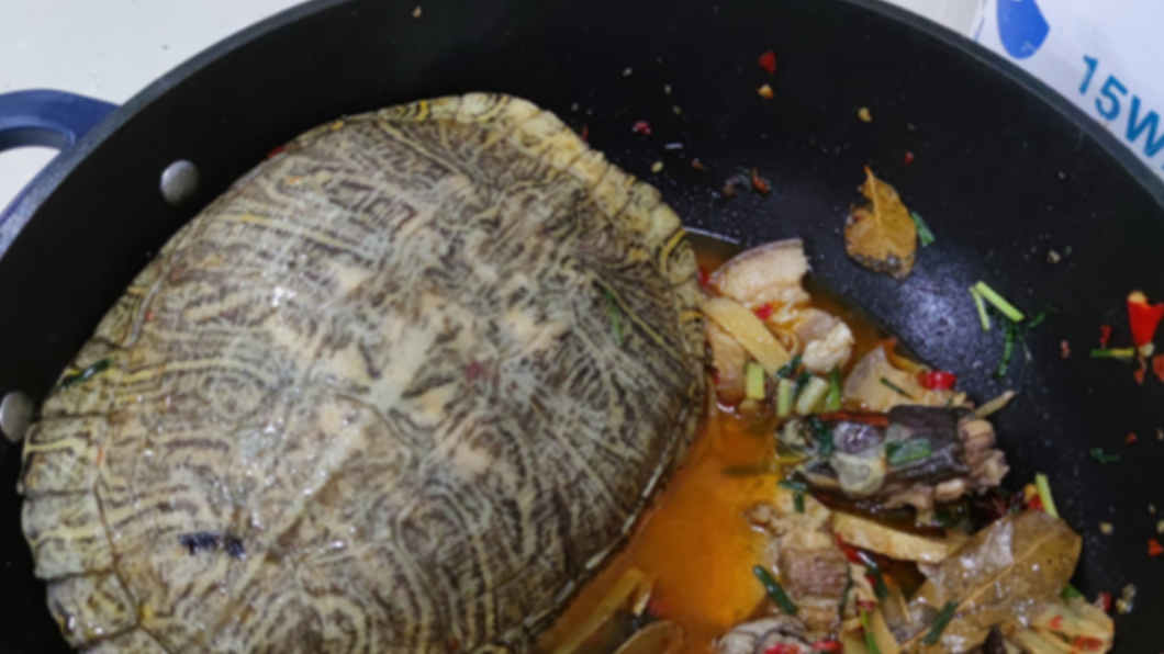一隻寵物龜被竊賊煮成紅燒龜。（圖／翻攝自《現代日報》官網）