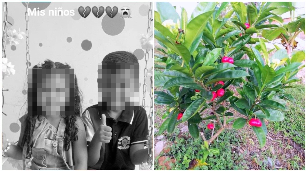 國外一對小兄妹誤食自家後院的「紅蘋果」後緊急送醫急救。（圖／翻攝自推特@aOCANAdecileSI）