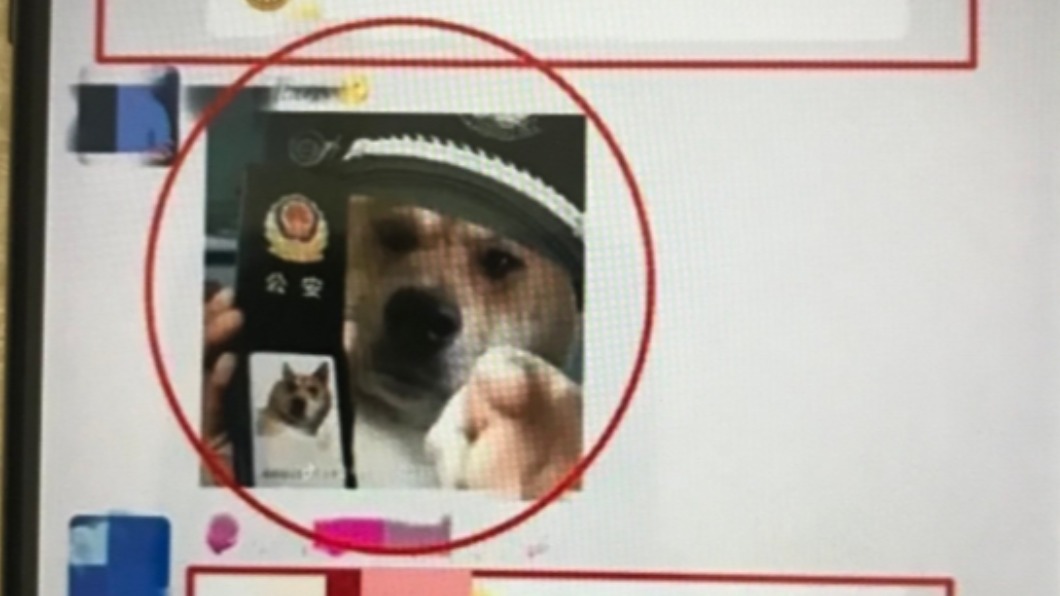 寧夏一名男子因為上傳「狗狗公安」圖遭處拘留9天。（圖／翻攝自@645Pr0RoZT8CwA7 Twitter）